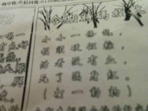 劉伯溫09期平碼一肖——揭秘預測之謎，劉伯溫09期平碼一肖預測揭秘，揭秘預測之謎