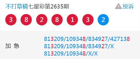 王中王平特一肖二中一，深度解析與探索，王中王平特一肖二中一深度解析與探索報告