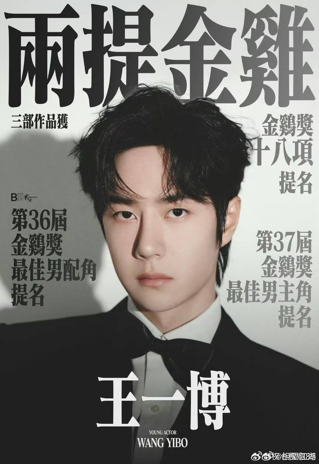 王中王一肖中特論特，深度解析與SEO洞察，深度解析王中王一肖中特論特與SEO洞察