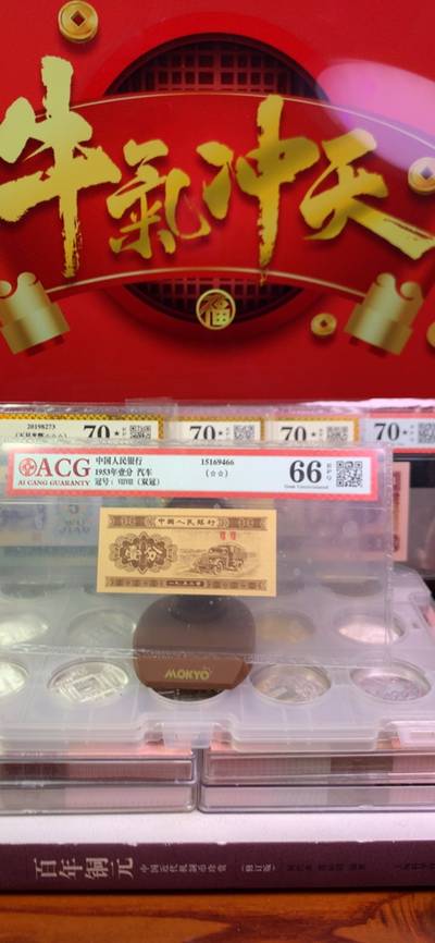 王中王致家一肖，解析背后的故事與奧秘，揭秘王中王致家一肖背后的故事與奧秘