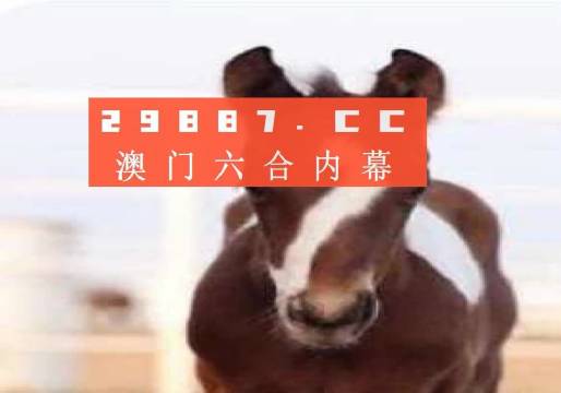 財經(jīng) 第6頁