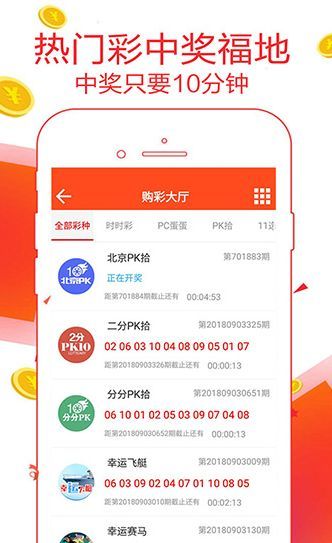 王中王一肖恃com，深度解析與SEO優(yōu)化策略，王中王一肖恃com，全面深度解析與SEO優(yōu)化策略探討