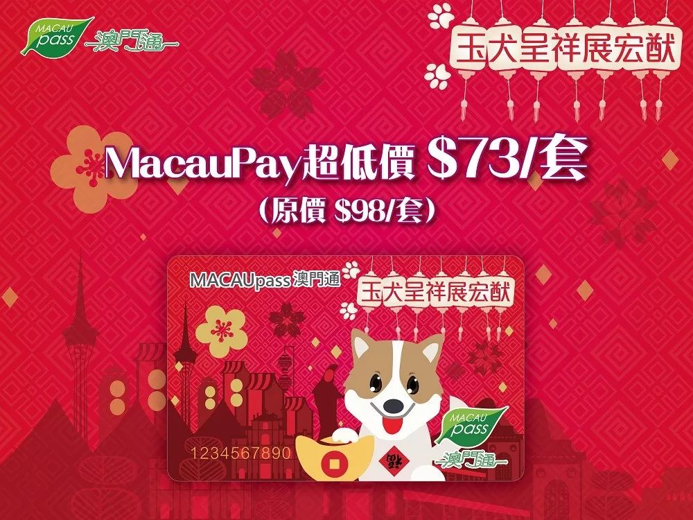 澳門生肖卡，探索未來的趨勢與機遇（2025年展望），澳門生肖卡，未來趨勢與機遇展望（2025年）