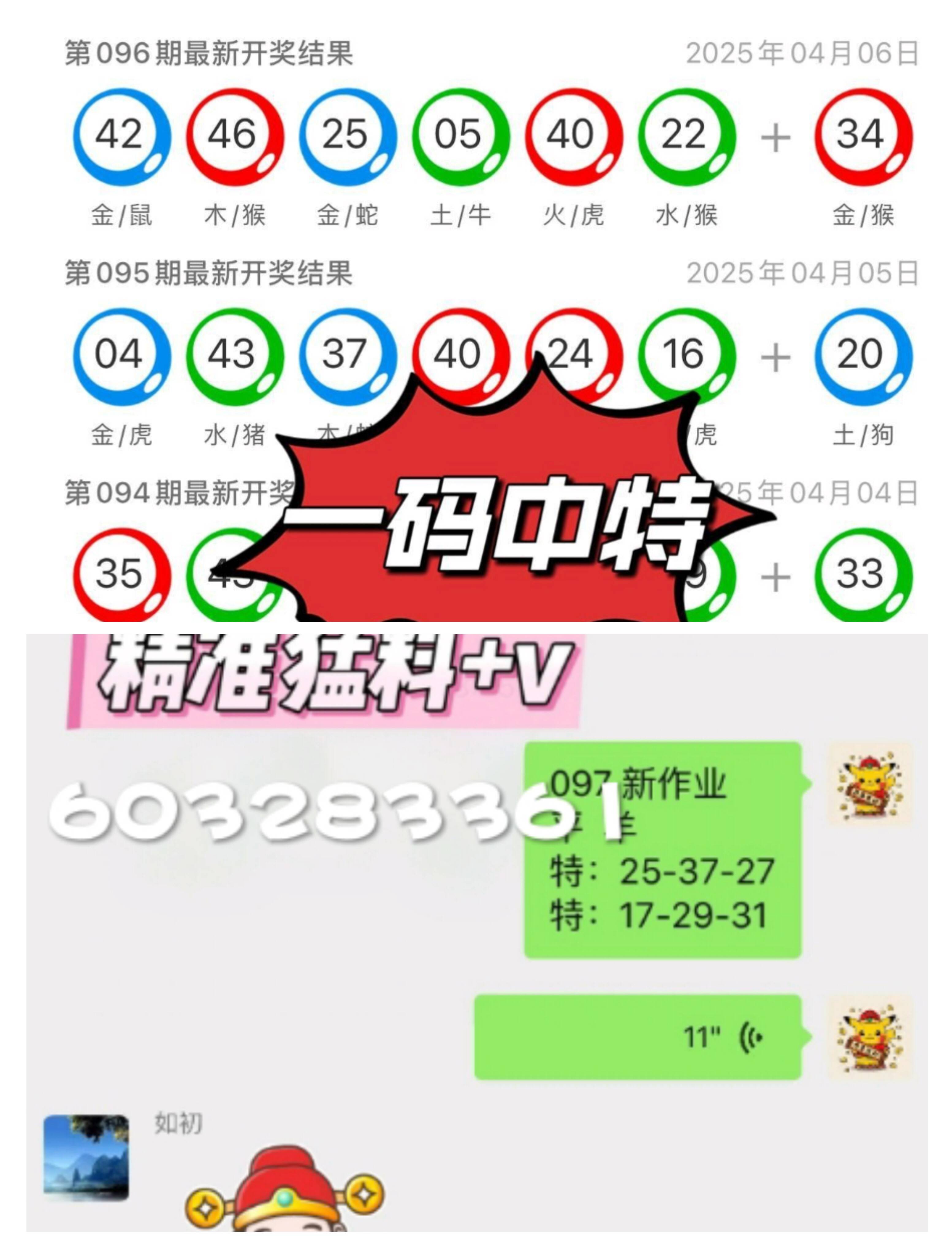 澳門一肖一碼中的奧秘與探索，澳門一肖一碼中的奧秘揭秘與探索之旅