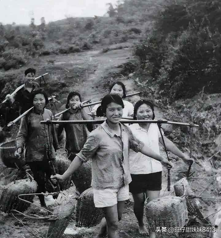 關(guān)于49圖庫(kù)圖片資料的專業(yè)解析與探索，49圖庫(kù)圖片資料深度解析與探索