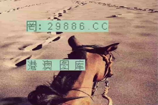 香港特馬資料王中王24期，深度解析與探索，香港特馬資料王中王深度解析與探索，第24期探索之旅