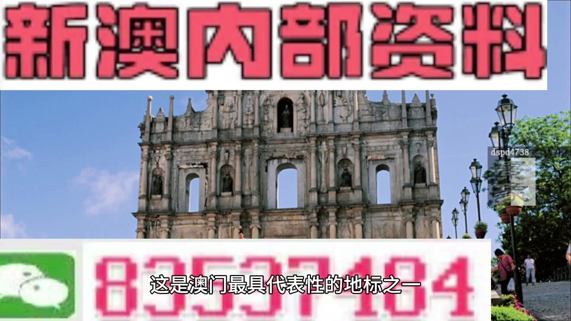 新澳門精準(zhǔn)資料期期精準(zhǔn)，揭秘背后的秘密與策略，揭秘新澳門精準(zhǔn)資料的秘密與策略，期期精準(zhǔn)之選