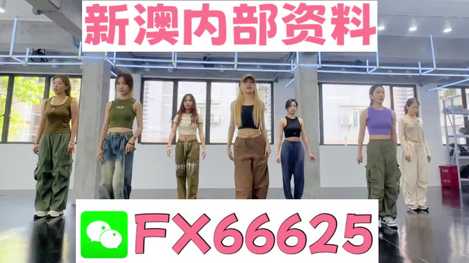 新澳一肖，探索與解析，新澳一肖，深度探索與解析