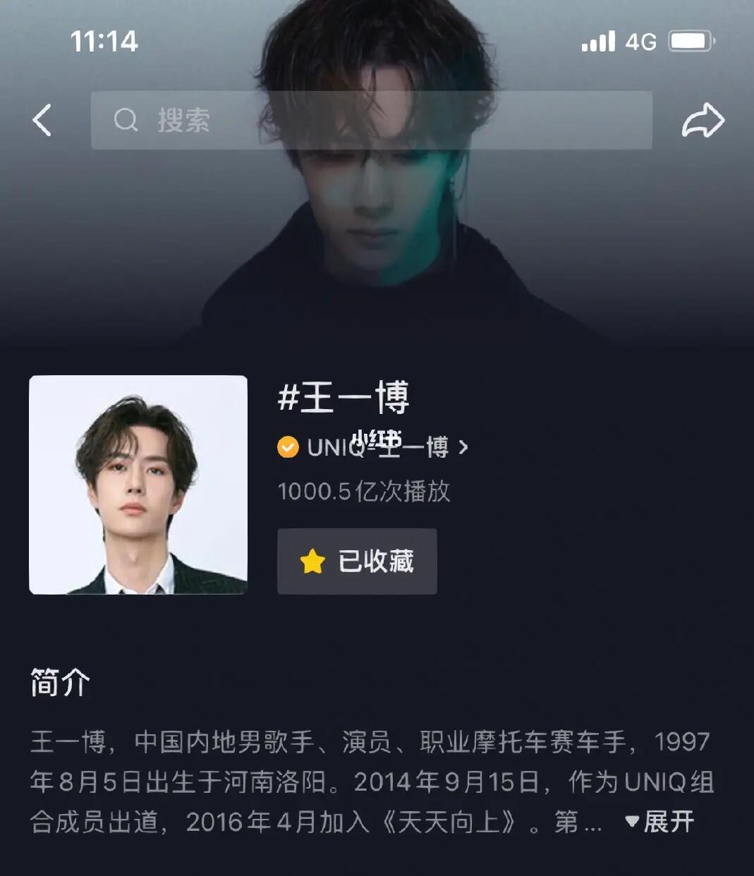 王中王一肖內(nèi)部資料詳解，王中王一肖內(nèi)部資料深度解析