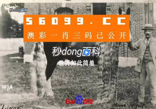 澳門王中王心水王中王，探索與解析，澳門王中王心水奧秘，深度探索與解析