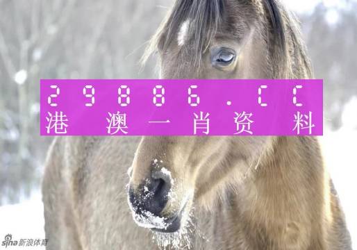 澳門一肖一碼背后的故事，一個(gè)關(guān)于精準(zhǔn)預(yù)測(cè)與傳奇的揭秘，澳門一肖一碼傳奇背后的精準(zhǔn)預(yù)測(cè)與揭秘之旅