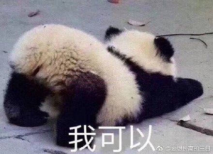 澳門精準(zhǔn)四不像最新正版，揭秘與探索，澳門精準(zhǔn)四不像揭秘與探索最新正版資訊