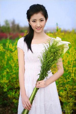 新澳門生肖走勢(shì)圖精準(zhǔn)版，解讀與SEO策略，新澳門生肖走勢(shì)圖精準(zhǔn)解讀與SEO策略揭秘