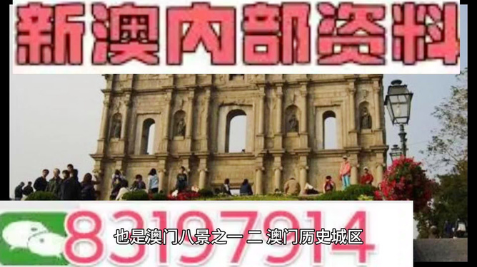 今晚澳門買什么最好？全方位解讀帶你走向勝利之路，澳門今晚買什么最佳？全方位指南引領(lǐng)你走向勝利之路