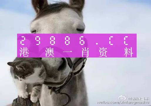 揭秘劉伯溫四肖選一碼的意思——探尋背后的故事與真相，揭秘劉伯溫四肖選一碼背后的真相與故事
