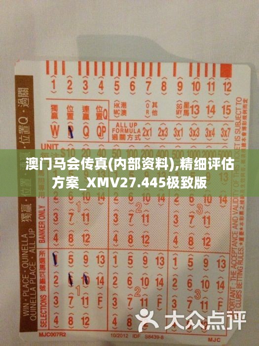 馬會傳真正版，探索正版馬會文化的魅力與價值，正版馬會文化的魅力與價值探索