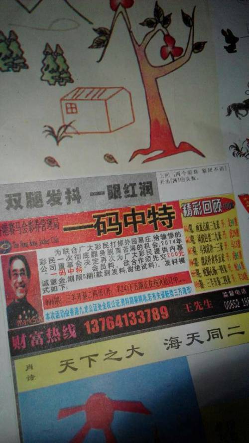 王中王贏錢詩猜一肖，揭秘背后的奧秘與策略，揭秘王中王贏錢詩背后的生肖奧秘與策略揭秘