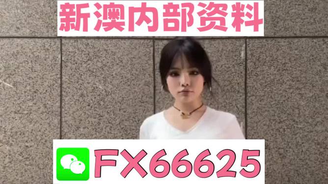 澳門正版資料大全完整版，探索與揭秘2025年澳門正版資料的世界，澳門正版資料大全揭秘，探索未來至2025年的奧秘世界