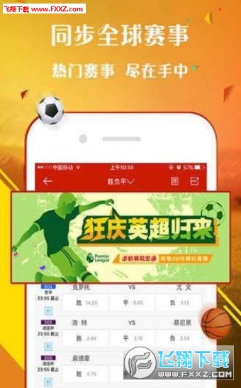 王中王一肖，探尋背后的故事與影響力（2019年），王中王一肖，背后的故事與影響力揭秘（2019年）