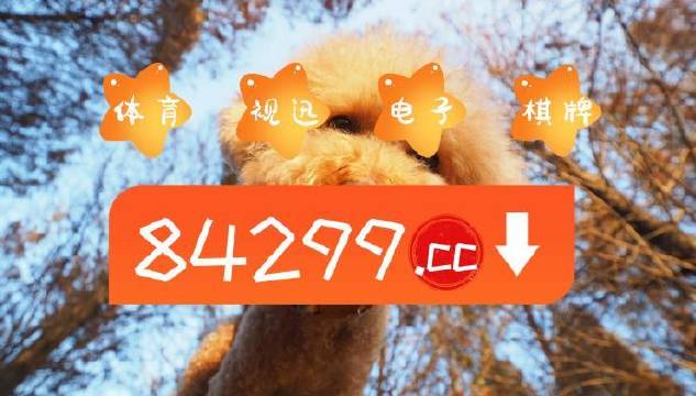 今期必中一肖一碼白小姐，揭秘彩票背后的秘密與策略，揭秘彩票背后的秘密與策略，白小姐今期必中一肖一碼解析