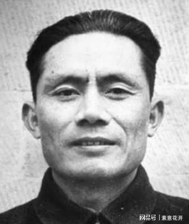 王中王平肖一特，聚焦關(guān)鍵詞背后的故事與成就，王中王平肖一特，關(guān)鍵詞背后的故事與輝煌成就