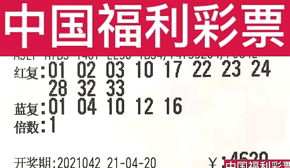 新奧門今晚開獎結(jié)果查詢第243期，全面解析與預(yù)測，新奧門第243期開獎結(jié)果解析與預(yù)測，今晚開獎揭秘
