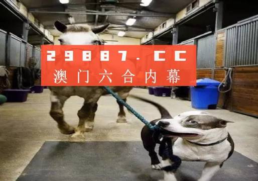 澳門一肖一碼一必中一肖，同舟前進(jìn)的奧秘與策略，澳門一肖一碼必中策略與前進(jìn)奧秘，同舟共濟(jì)的揭秘與策略