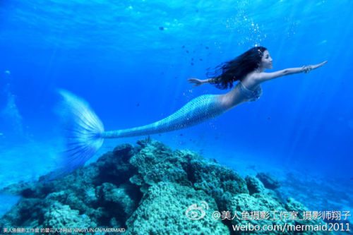 澳門美人魚最快開獎結(jié)果圖——揭秘熱門彩票游戲背后的秘密，澳門美人魚彩票開獎揭秘，最新結(jié)果圖與游戲背后秘密探索