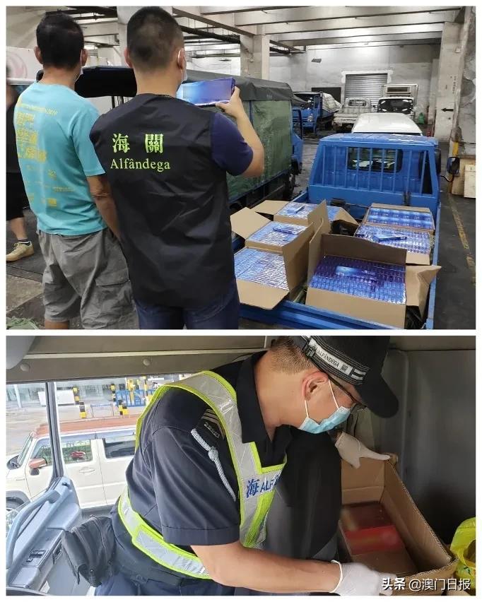 澳門今晚必開一肖080，揭秘生肖運勢與預(yù)測之謎，澳門今晚必開一肖揭秘，生肖運勢預(yù)測之謎開啟！