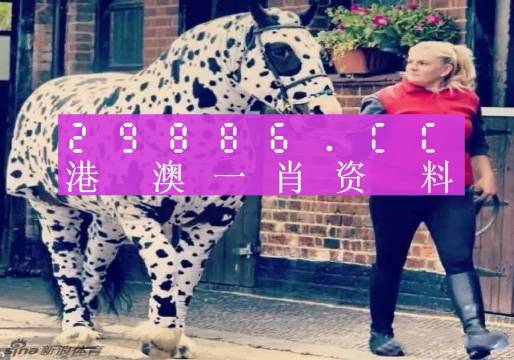 澳彩平肖王中王，一笑一碼的秘密與SEO優(yōu)化策略，澳彩平肖王中王，揭秘一笑一碼背后的SEO優(yōu)化策略