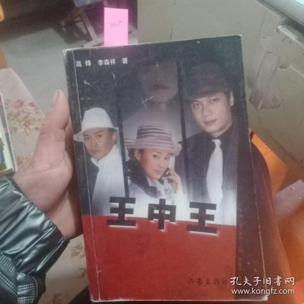 王中王資料一肖中天，深度解析與探索，王中王資料一肖中天，深度剖析與探索