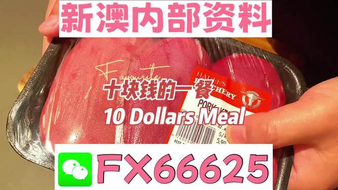 揭秘2025新澳精準(zhǔn)資料免費(fèi)大全——一站式獲取最新資源，揭秘2025新澳精準(zhǔn)資料免費(fèi)大全，最新資源一站式獲取