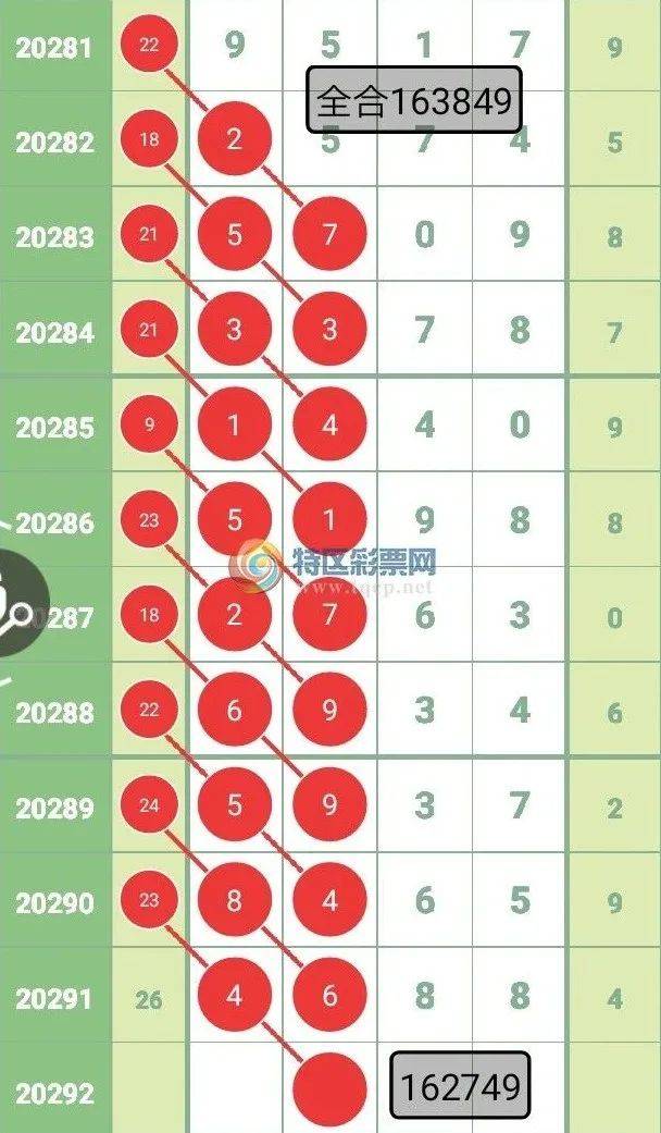 王中王四選一肖中特，深度解析與探索，王中王四選一肖中特深度解析與探索揭秘