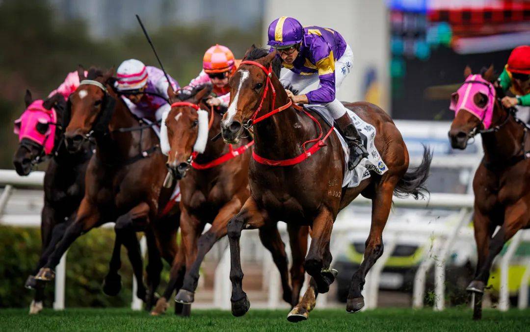 香港賽馬，探索賽馬運(yùn)動的激情與榮耀之地——7777788888的獨(dú)特魅力，香港賽馬，激情與榮耀的獨(dú)特魅力探索——777778賽馬運(yùn)動之地