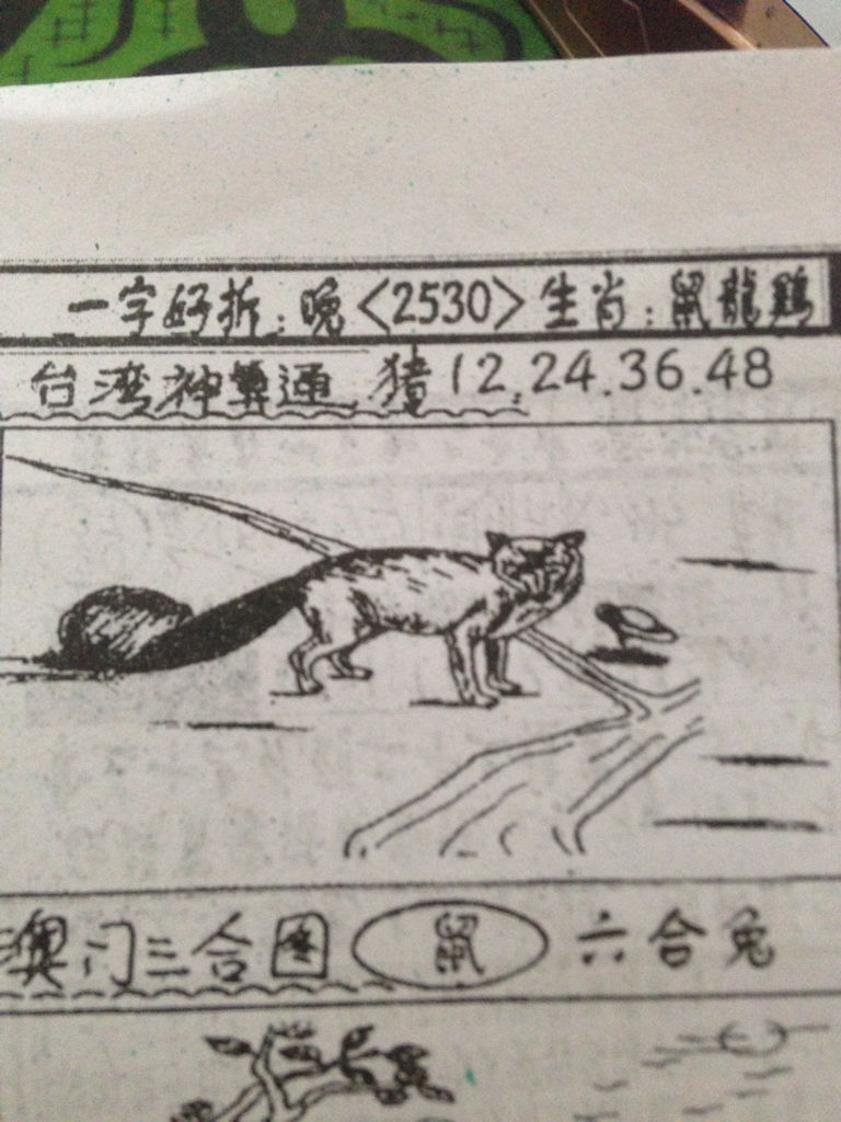 揭秘生肖奧秘，看圖猜一生肖劉伯溫的傳奇故事，揭秘生肖奧秘，劉伯溫傳奇故事中的生肖之謎探索