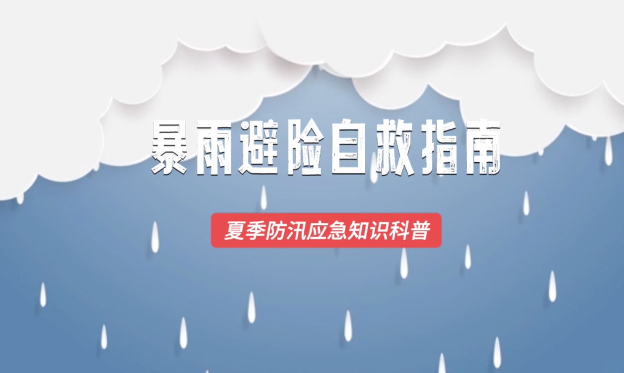 澳門六2023開獎結果詳解及預測分析，澳門六開獎結果詳解與預測分析（2023年）