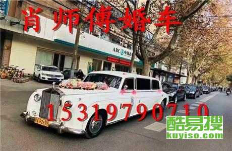 王中王車奪平特一肖免費(fèi)——深度解析與探索，王中王車奪平特一肖，深度解析與免費(fèi)探索