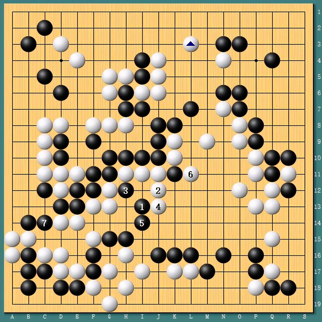 王中王四肖一碼資料論壇，探索與解析，王中王四肖一碼資料論壇，深度探索與解析