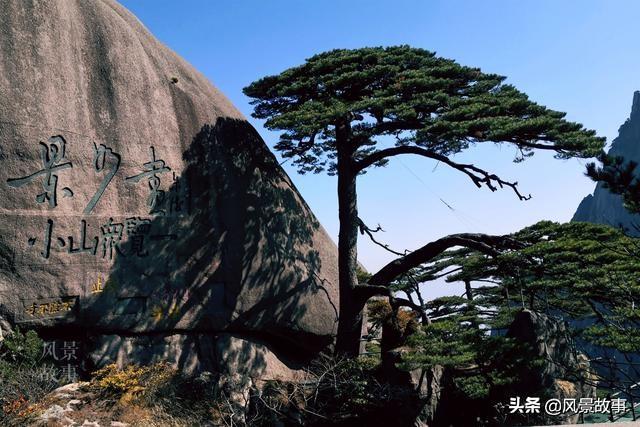 真實(shí)與虛幻的交融