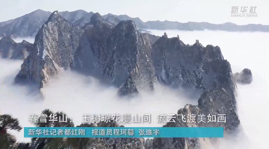 澳門最精準(zhǔn)龍門，探索真正的精準(zhǔn)之道，澳門最精準(zhǔn)龍門，揭秘真正的精準(zhǔn)之道