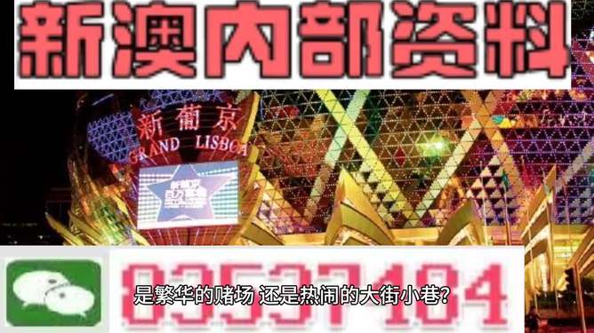 新澳門精準資料大全與管家婆料，探索SEO的奧秘，探索SEO奧秘，新澳門精準資料大全與管家婆料的秘密解析