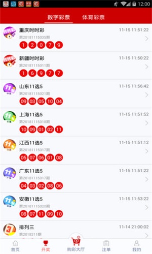 一碼一肖，揭秘背后的秘密與探索其獨(dú)特魅力，揭秘一碼一肖背后的秘密與獨(dú)特魅力探索