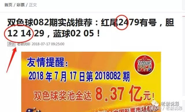 王中王082期指一生肖——探尋生肖魅力，洞悉運勢奧秘，探尋生肖魅力，揭秘運勢奧秘——王中王生肖運勢解析 082期