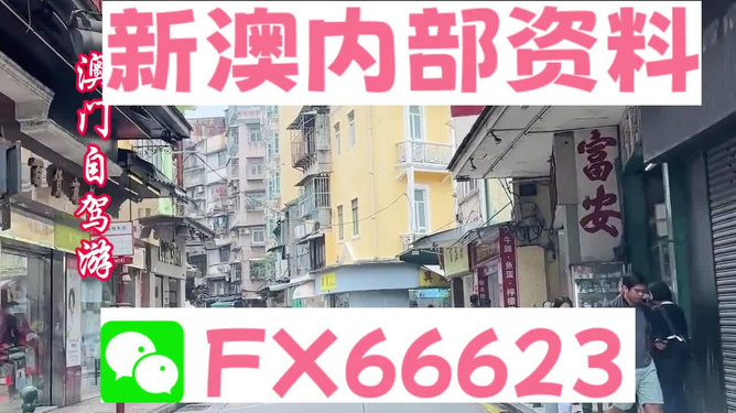 港澳免費(fèi)精準(zhǔn)資料大全——探索與發(fā)現(xiàn)，港澳免費(fèi)精準(zhǔn)資料大全，深度探索與發(fā)現(xiàn)之旅