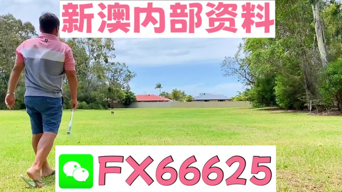 王中王一碼二肖，揭秘背后的秘密，揭秘王中王一碼二肖背后的秘密