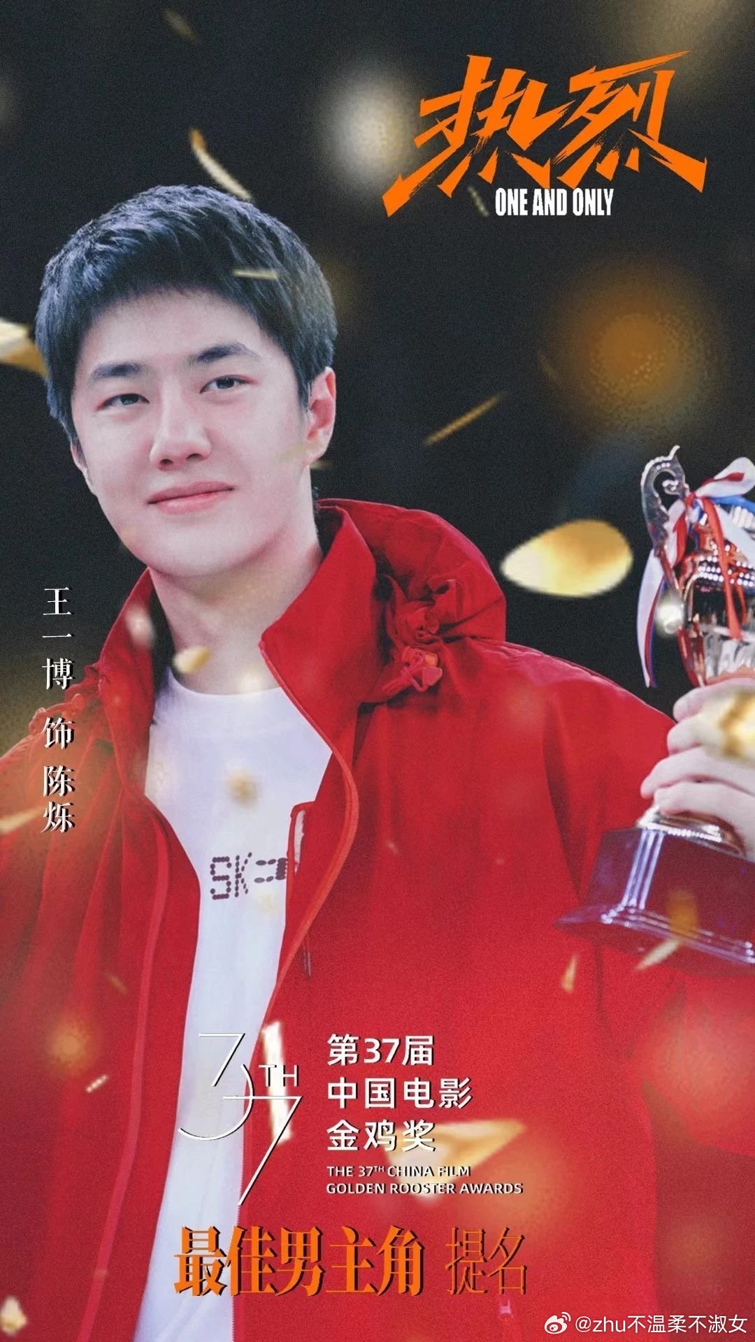 王中王一肖一特一中一中，探尋背后的故事與奧秘，探尋王中王一肖背后的故事與奧秘