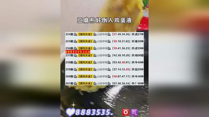 新澳今晚開馬結(jié)果查詢，全方位解析與實(shí)時(shí)更新，新澳今晚馬術(shù)賽事結(jié)果查詢，全方位解析與實(shí)時(shí)更新動態(tài)