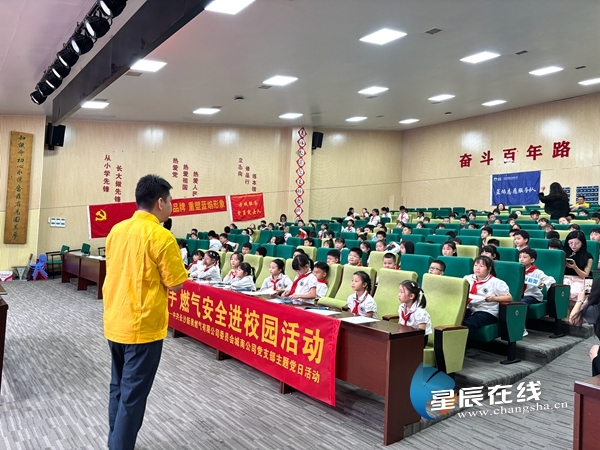 新奧正版資料的SEO優(yōu)化文章，新奧正版資料的SEO優(yōu)化指南