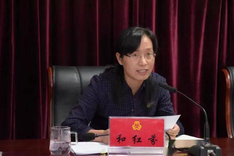 二四六香港期期中的資料解析與SEO優(yōu)化策略，香港期期二四六資料解析與SEO優(yōu)化策略探討