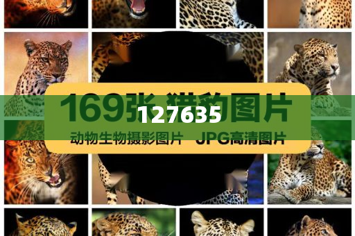 精準(zhǔn)新傳真，揭秘數(shù)字組合7777788888的神秘面紗，揭秘數(shù)字組合7777788888的神秘面紗，精準(zhǔn)新傳真解讀